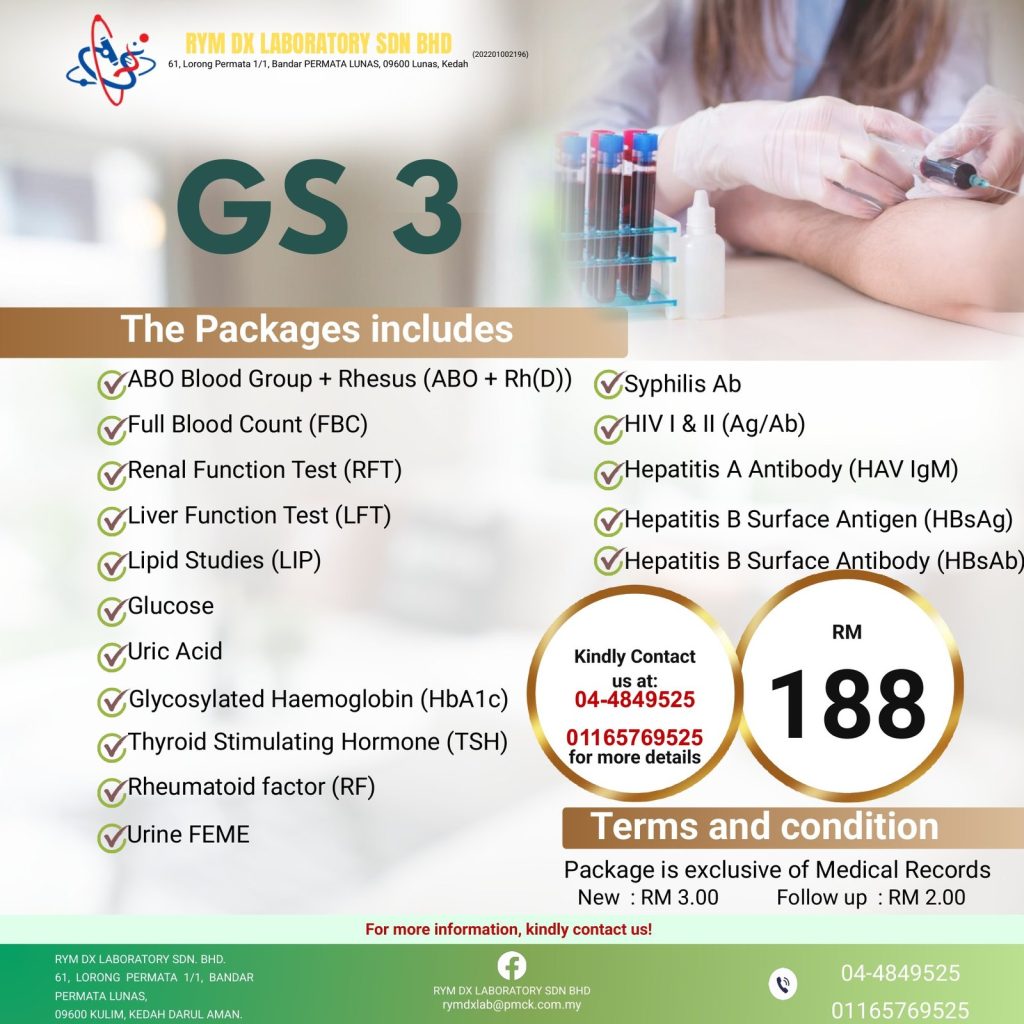 GS 3